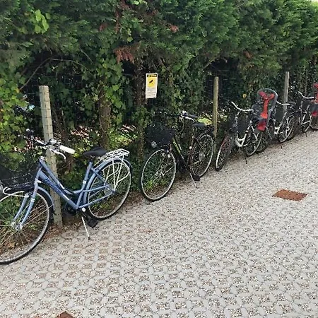 Alba D'oro Solo Famiglie E Coppie